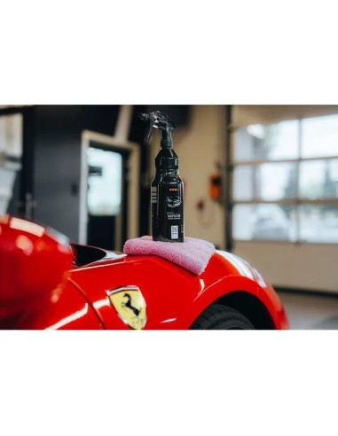 Degresant auto pentru aplicarea protectiei...