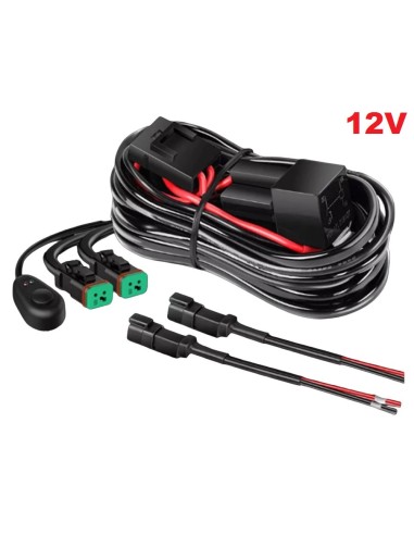 Cablaj cu buton si releu 12V pentru 2...
